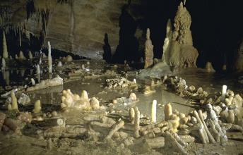175,000 Years Old Neanderthals Cave Discovered in France