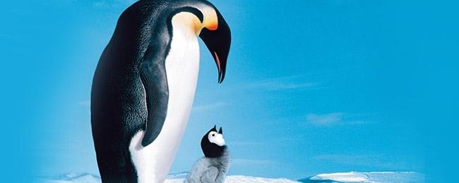 A Personal Review of March of the Penguins Documentary