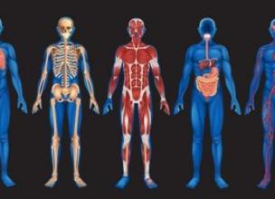 The Mysteries of Human Body