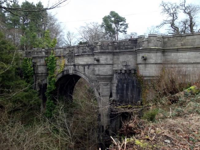 ​  Can dogs commit suicide? The Overtoun Bridge is a proof they can