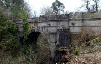 ​  Can dogs commit suicide? The Overtoun Bridge is a proof they can