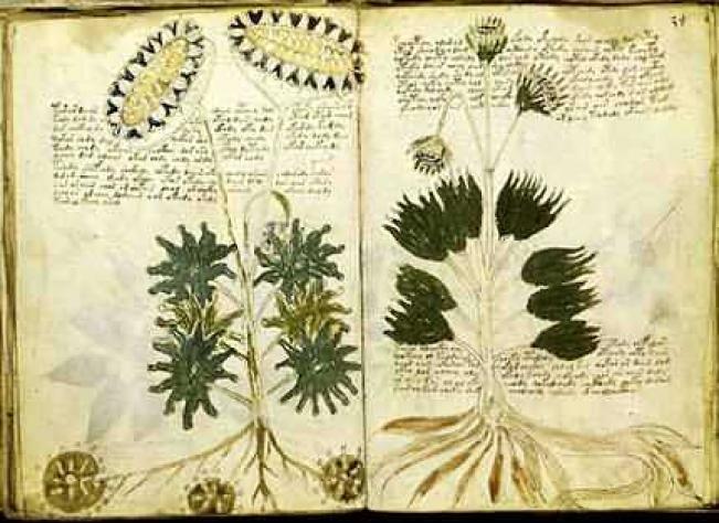 The Voynich Manuscript - Can the book ever be decoded?