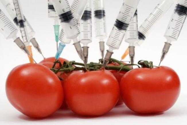 The truth about GMO food - Top 7 frequently asked questions