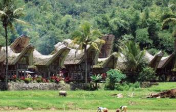 Tana Toraja, Indonesia - A lesser known place to add to your bucket list