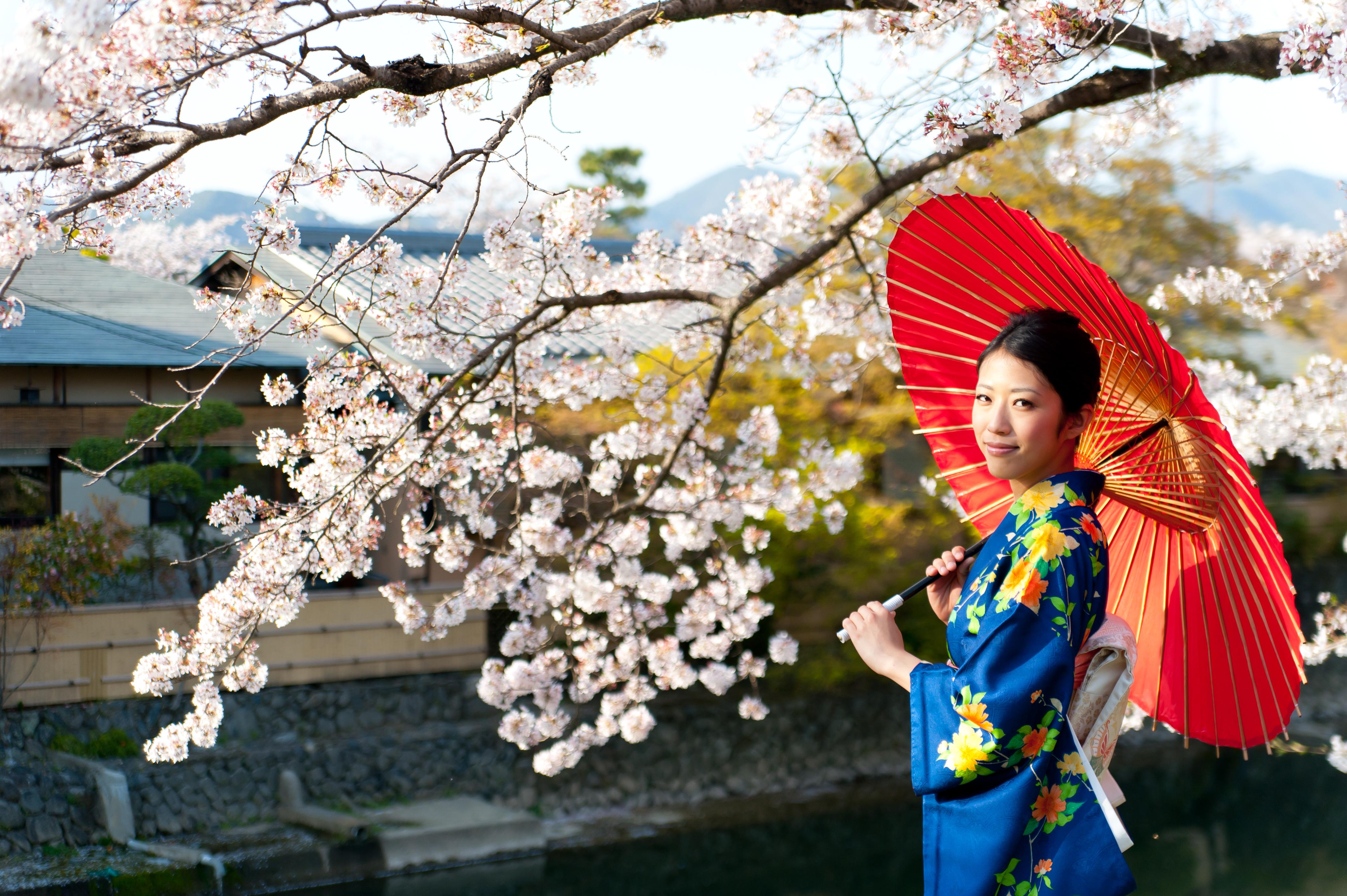 Japan - The home of world's most beautiful festivals including Cherry Blossom Lantern Festival