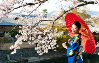 Japan - The home of world's most beautiful festivals including Cherry Blossom Lantern Festival