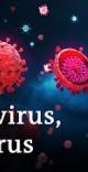 beneficial viruses