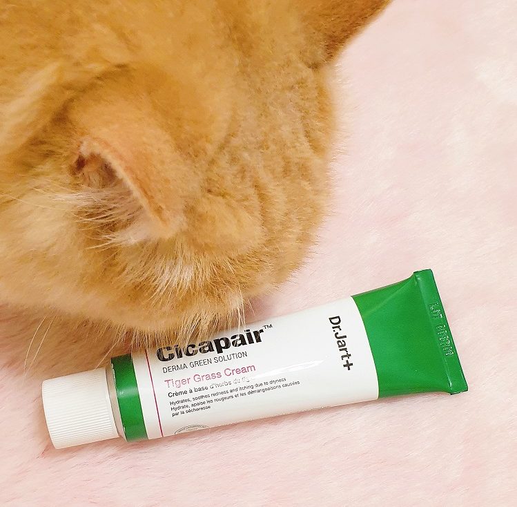 dr. jart+ cicapair tiger grass cream review with loki | style vanity