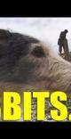 Fieldsports Britain : Rabbiting with Ferrets and Lurchers