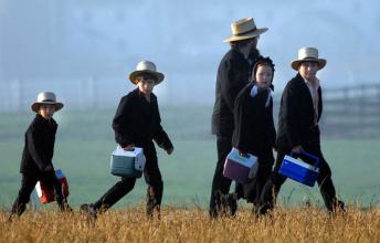 Glimpse into the Amish Community