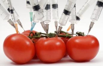 How GMO foods can make China starve itself