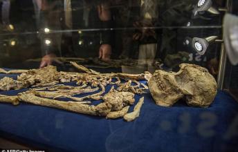 How Little Foot Lived? Science reconstructs the Brain of Our Oldest Ancestor