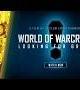 Looking for Group: A World of Warcraft Documentary