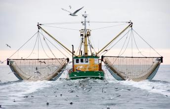 Overfishing - Putting the entire ocean system at risk
