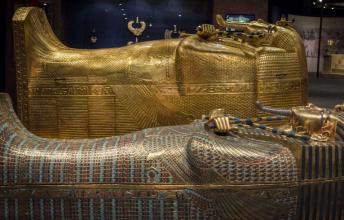Seven Victims of the King Tut's Curse