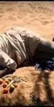 The Genocide in Darfur