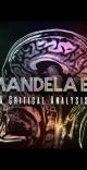 the mandela effect