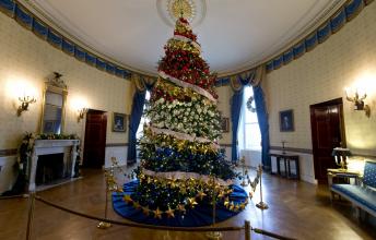 White House Christmas Tree Factsheet